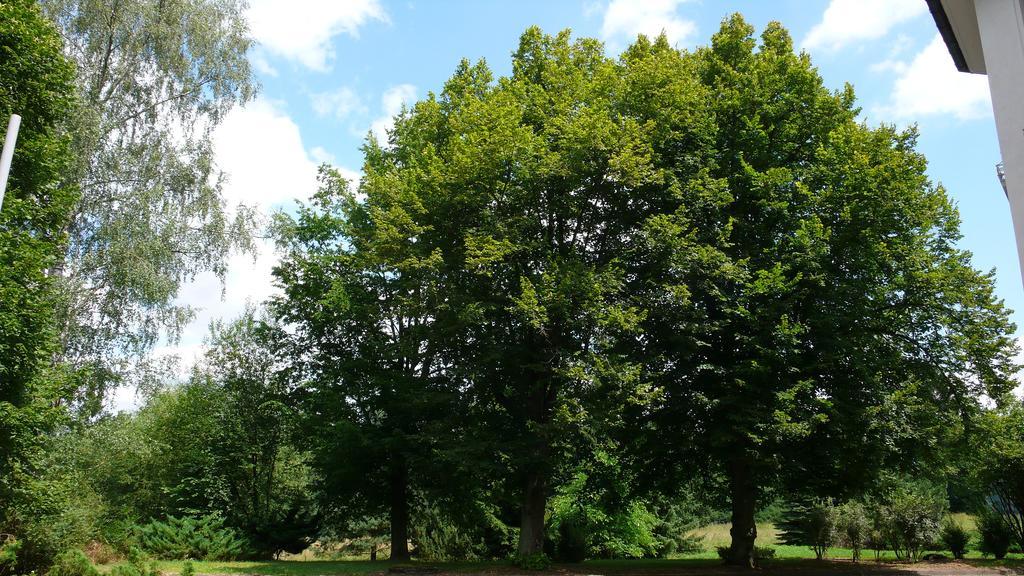 Vila Olga Jevany Exteriör bild