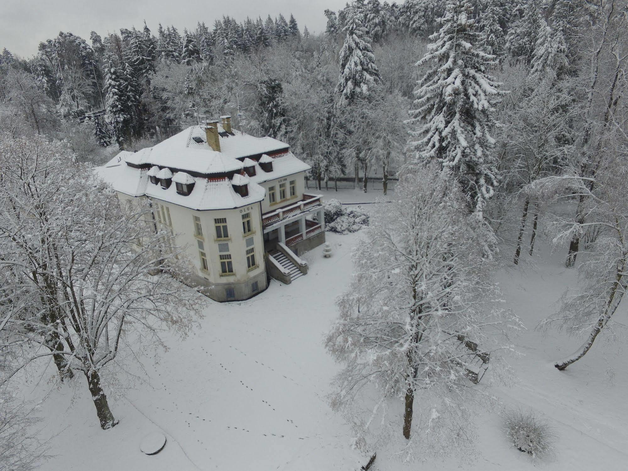 Vila Olga Jevany Exteriör bild
